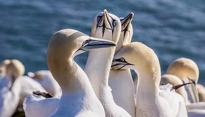 九游app官网下载-青训机构建立家校合作机制强化学生自律管理，建立健全家校合作机制