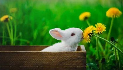 九游app官网下载-青训机构建立家校合作机制强化学生自律管理，建立健全家校合作机制