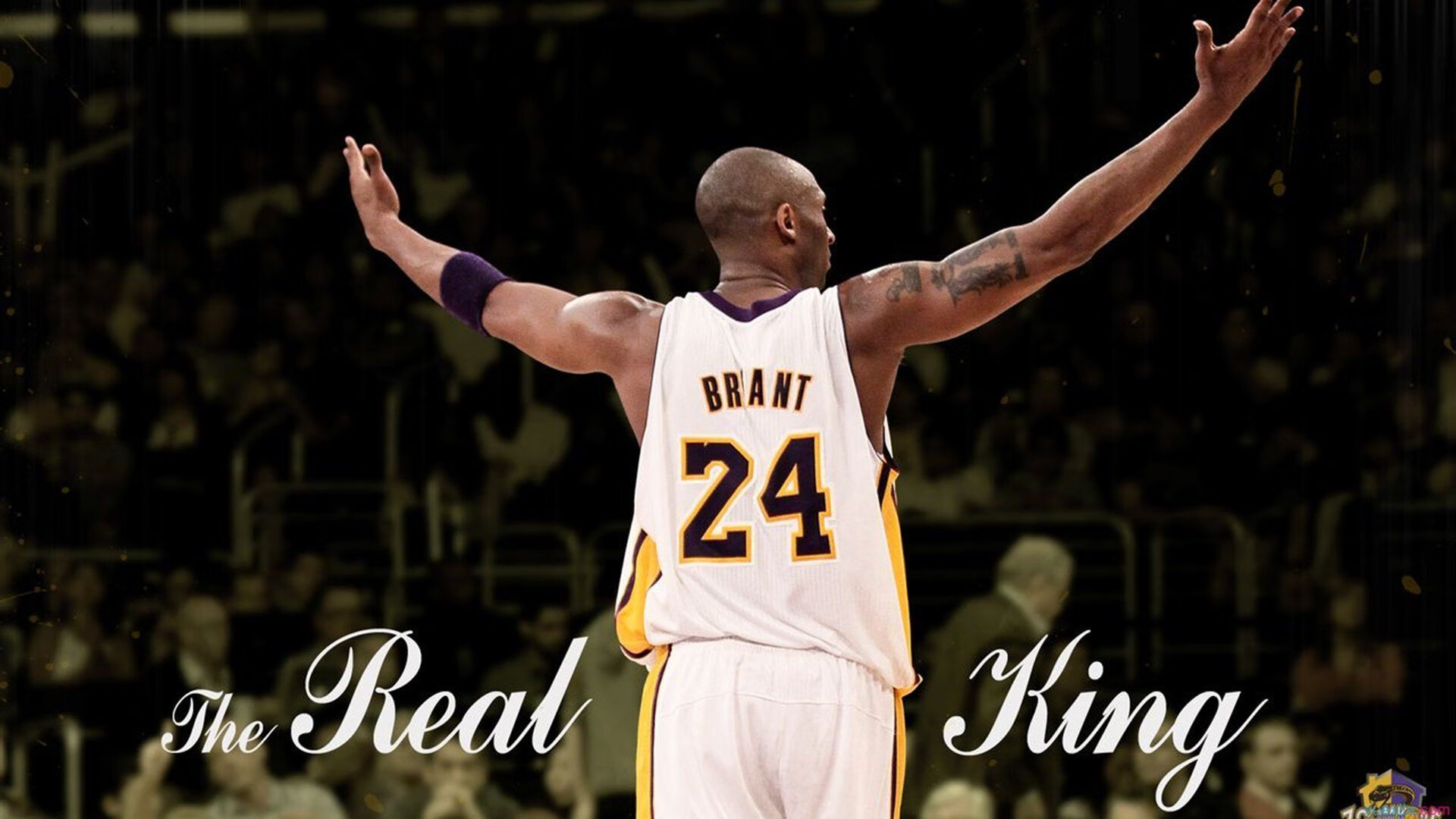 Jiuyou-瑞典队在2024年混合团体世界杯中的全能表现，瑞典队比赛